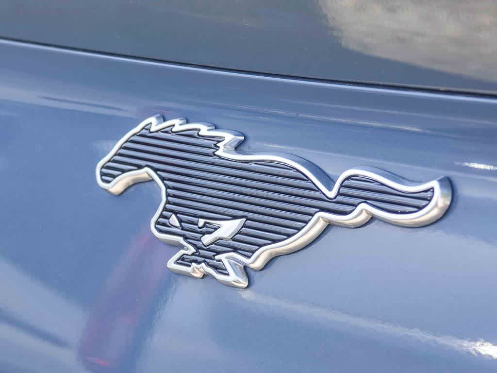 2023 Ford Mustang Mach-E California Route 1