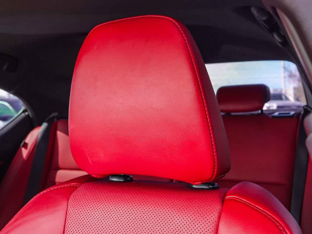 2023 Lexus IS F SPORT